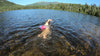 Openwaterswim